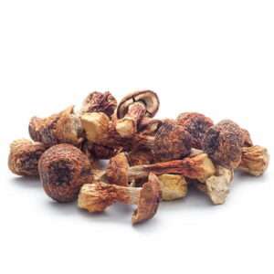 dried mushrooms