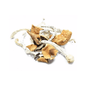 Buy the Best Magic Mushrooms For Sale Online in The USA