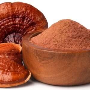 reishi mushroom tea